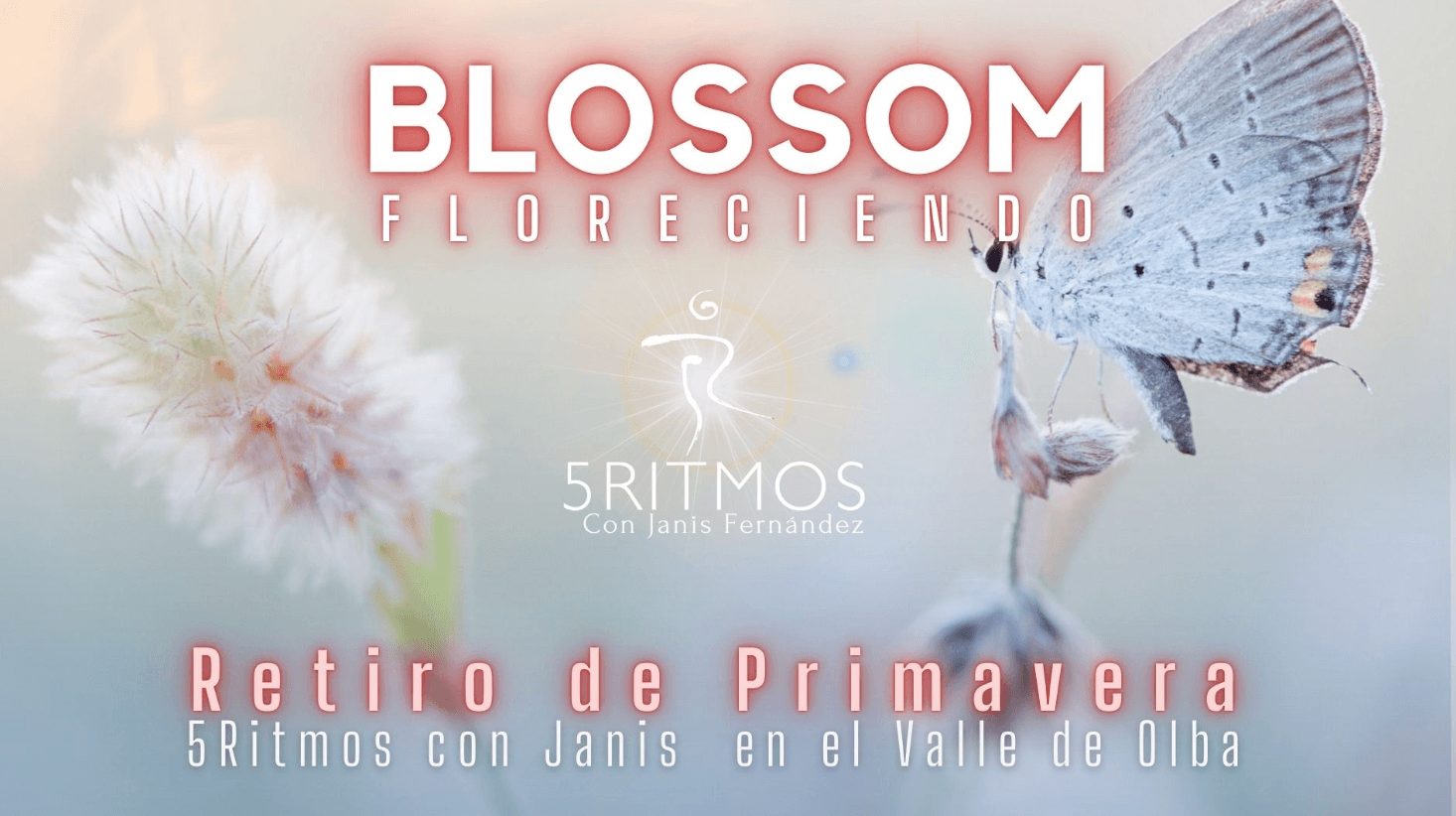 BLOSSOM · Retiro de Primavera